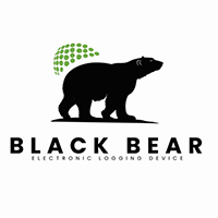 Black Bear